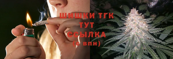 шишки Зеленодольск