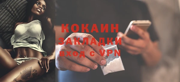 шишки Зеленодольск