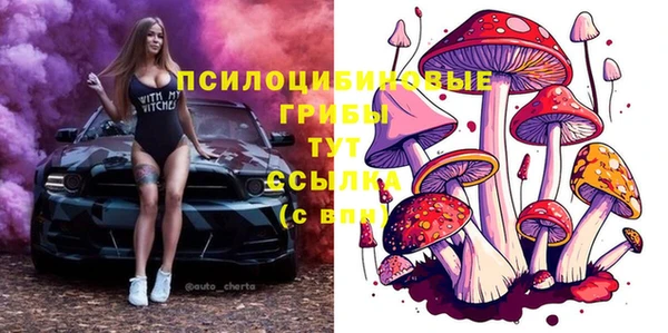 шишки Зеленодольск