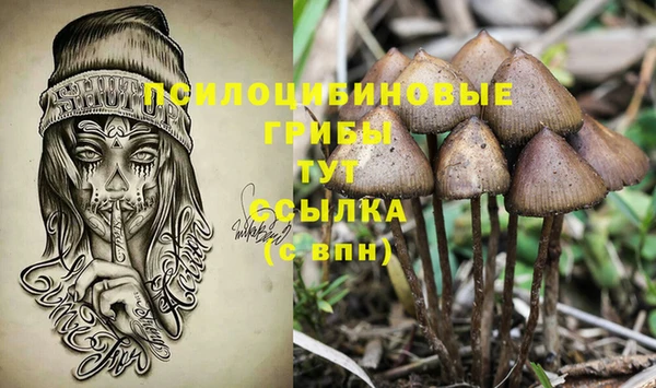 шишки Зеленодольск