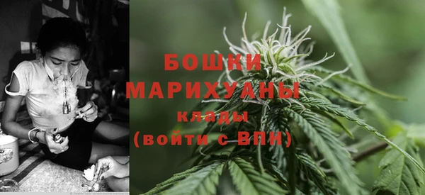 шишки Зеленодольск