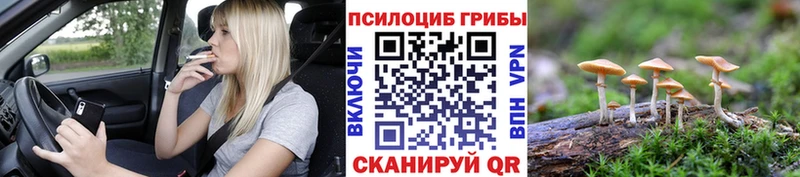 Псилоцибиновые грибы мицелий  Купить закладки  Новохопёрск 